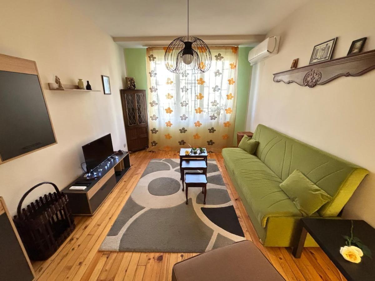 Apartment просторен и уютен двустаен в долен лозенец - кварталът на артистите Sofia